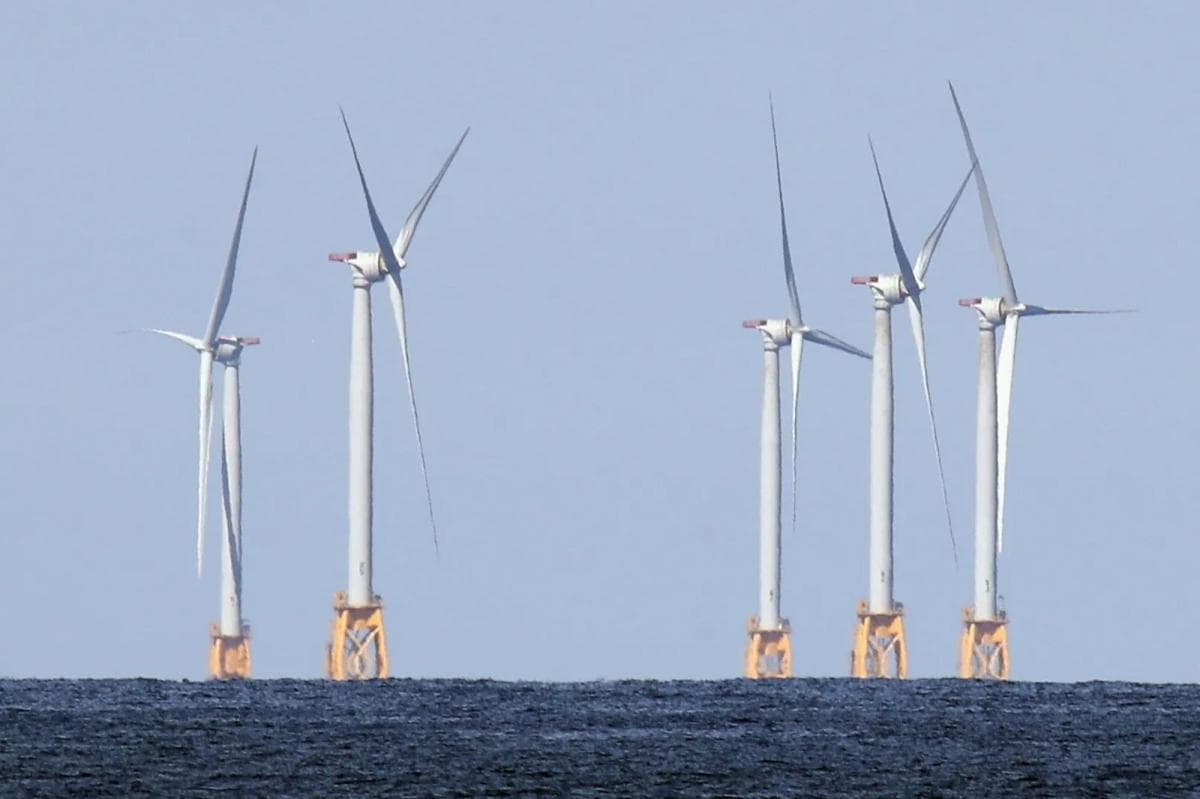 NY's Climate Reality Check: When Green Dreams Meet Economic Facts