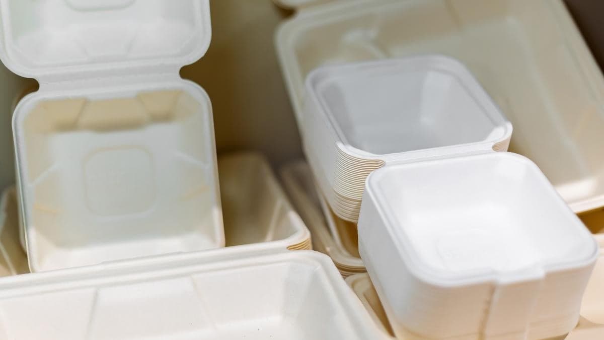 Biodegradable Plastics: Environmental Promise or Climate Risk?
