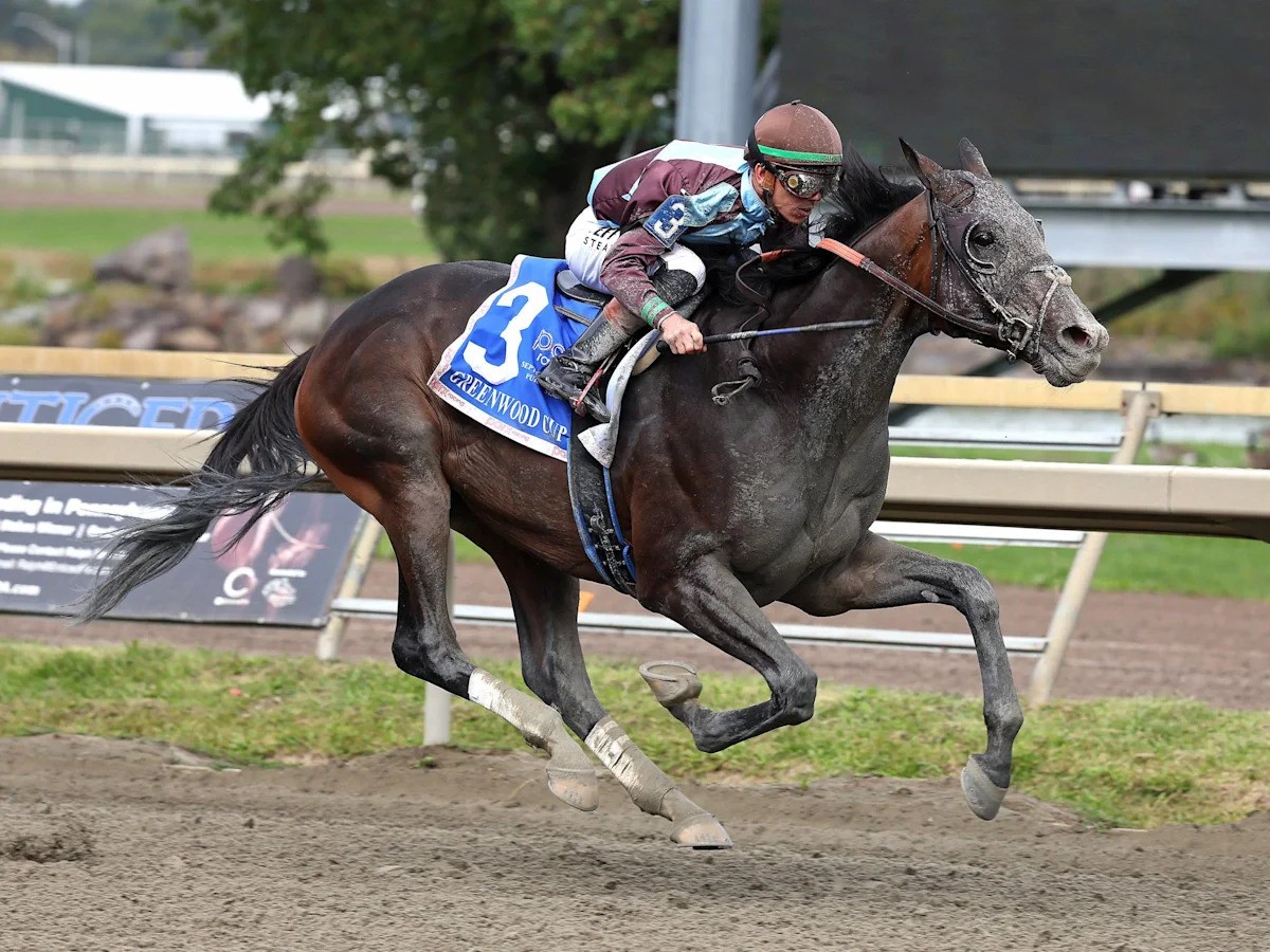 San Siro's Greenwood Cup Win Shows Why Distance Matters in Horse Racing