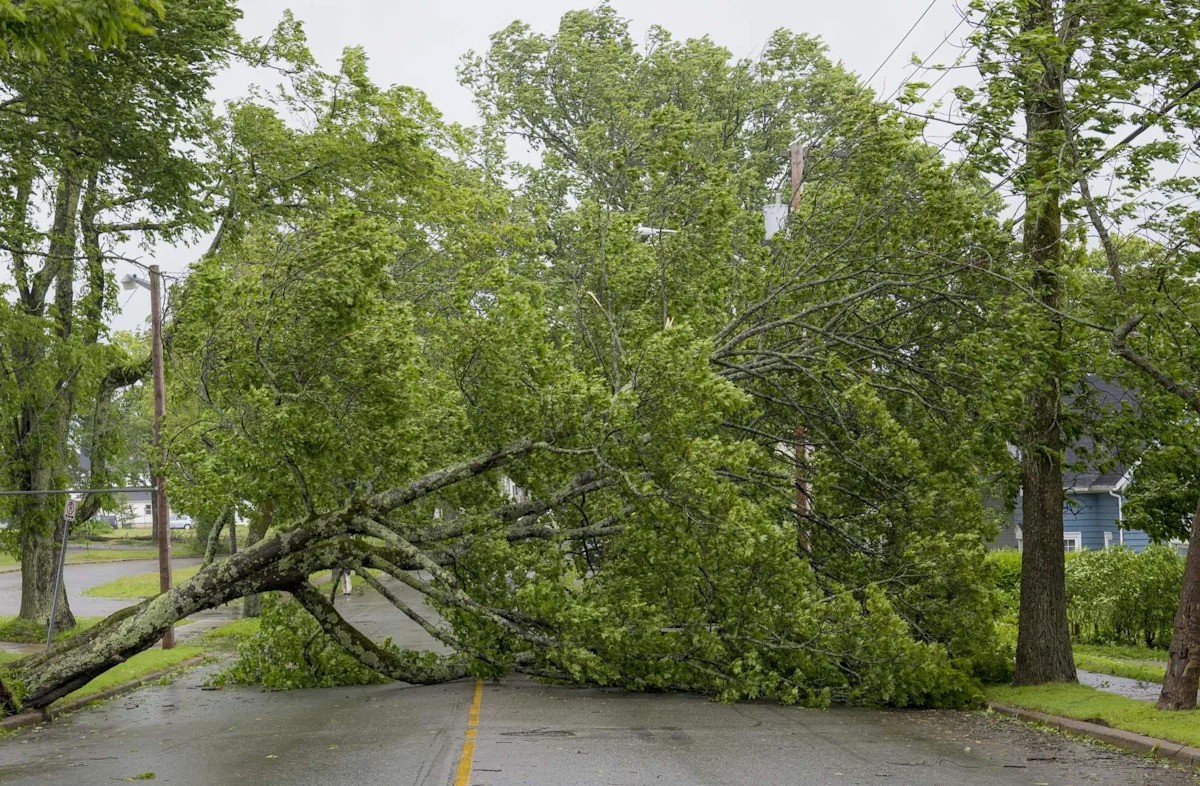 27,000 New Yorkers Still Without Power After Storms: A Test of Grid Resilience